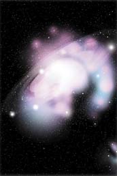 Das Chaos muss geordnet werden.